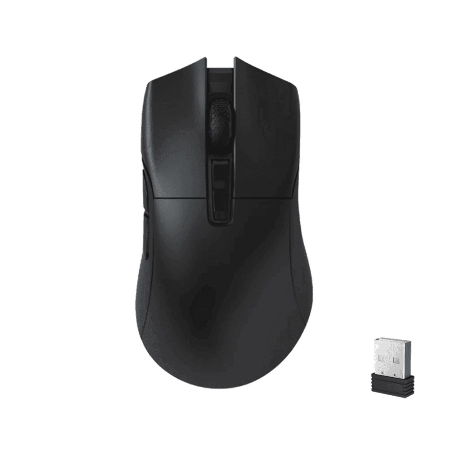 Darmoshark N3 Horn Shark